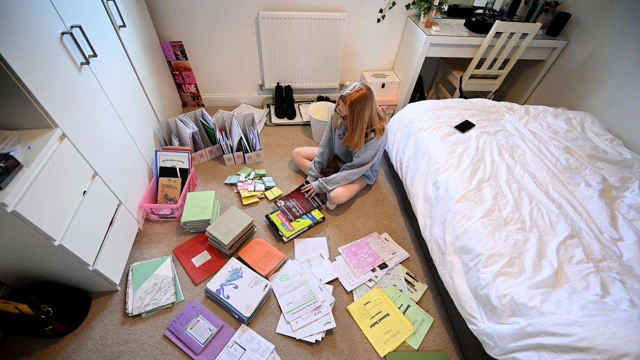 Проучване: Почти половината български ученици очакват да станат началници