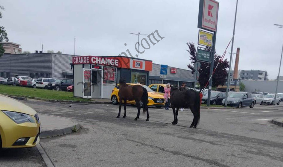 Полиция заварди изходите на Кърджали! Заловен е софиянец, откраднал 12 бона от кола пред „Кауфанд“!