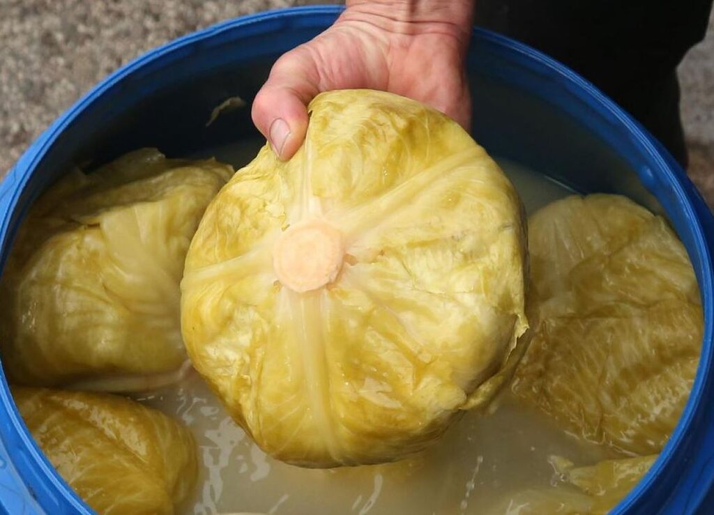 Кисело зеле в бидон