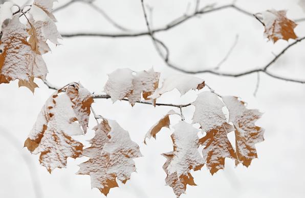 Предстои ледена новогодишна нощ
